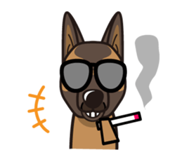 iinu - Belgian Shepherd Malinois sticker #11401639