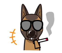 iinu - Belgian Shepherd Malinois sticker #11401639