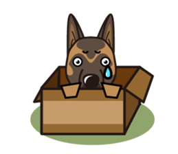 iinu - Belgian Shepherd Malinois sticker #11401643