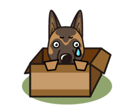 iinu - Belgian Shepherd Malinois sticker #11401643