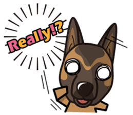 iinu - Belgian Shepherd Malinois sticker #11401646