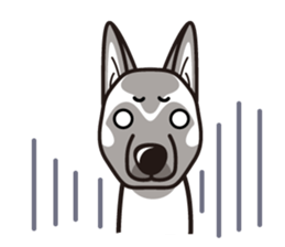 iinu - Belgian Shepherd Malinois sticker #11401652