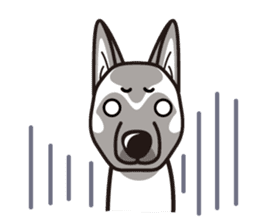 iinu - Belgian Shepherd Malinois sticker #11401652