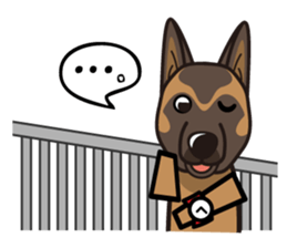 iinu - Belgian Shepherd Malinois sticker #11401655