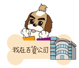 2 Shih Tzu Brothers-Where are you? sticker #11403707