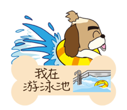 2 Shih Tzu Brothers-Where are you? sticker #11403715