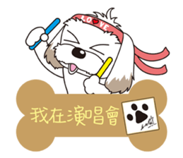 2 Shih Tzu Brothers-Where are you? sticker #11403728