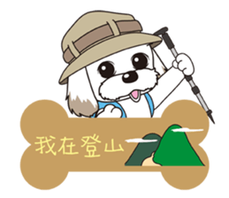 2 Shih Tzu Brothers-Where are you? sticker #11403736