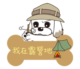 2 Shih Tzu Brothers-Where are you? sticker #11403740