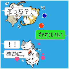 speech bubble and 117cats