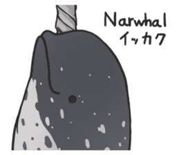 Narwhals sticker #11405903