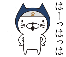 Ninja Cat's Sticker sticker #11407273