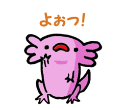 Sir Axolotl sticker #11407777