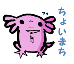 Sir Axolotl sticker #11407784