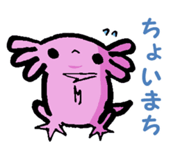 Sir Axolotl sticker #11407784