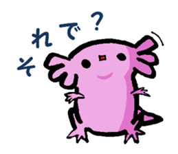 Sir Axolotl sticker #11407790