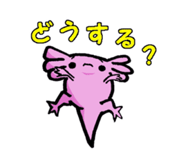 Sir Axolotl sticker #11407798