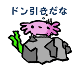 Sir Axolotl sticker #11407814