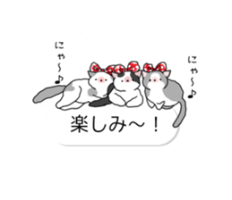 Crazy about CATS 2! sticker #11409564