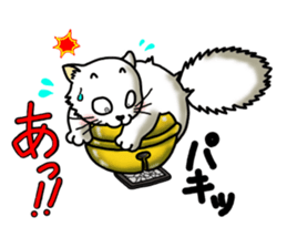 Tin cat sticker #11410617