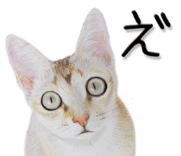 kansai dialect cat3 sticker #11411224