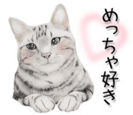 kansai dialect cat3 sticker #11411233
