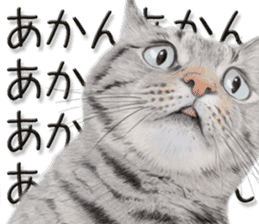 kansai dialect cat3 sticker #11411240