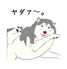 Golden and Husky. sticker #11412939