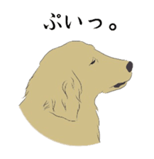 Golden and Husky. sticker #11412943