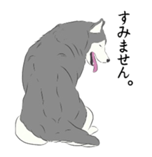 Golden and Husky. sticker #11412945