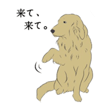 Golden and Husky. sticker #11412953