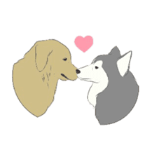 Golden and Husky. sticker #11412956