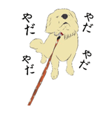 Golden and Husky. sticker #11412971