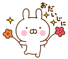 Rabbit Usahina 5 sticker #11413868