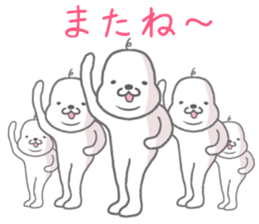 many bald white seals sticker #11414414