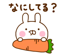 Rabbit Usahina Mainichi sticker #11414954