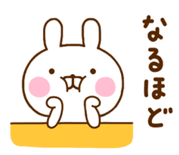 Rabbit Usahina Mainichi sticker #11414968