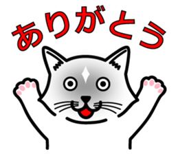 Cats that do not generate a look sticker #11415456