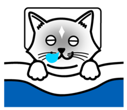 Cats that do not generate a look sticker #11415474