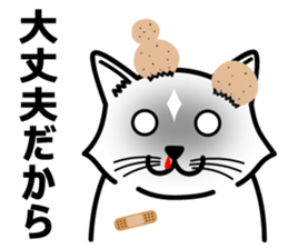 Cats that do not generate a look sticker #11415492