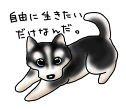 Hitomi Kakihara Dog Sticker sticker #11416016