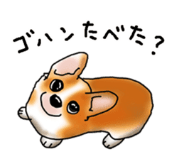 Hitomi Kakihara Dog Sticker sticker #11416024