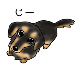 Hitomi Kakihara Dog Sticker sticker #11416026