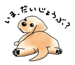 Hitomi Kakihara Dog Sticker sticker #11416036