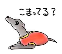 Hitomi Kakihara Dog Sticker sticker #11416040