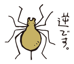 Isopoda 3 (with spider) sticker #11416349