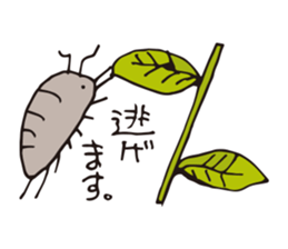 Isopoda 3 (with spider) sticker #11416368