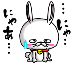 Because he is a rabbit sticker #11417000
