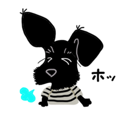 Black Miniature Schnauzer COCO 2 sticker #11417766