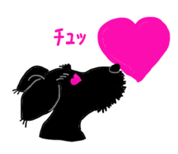 Black Miniature Schnauzer COCO 2 sticker #11417776